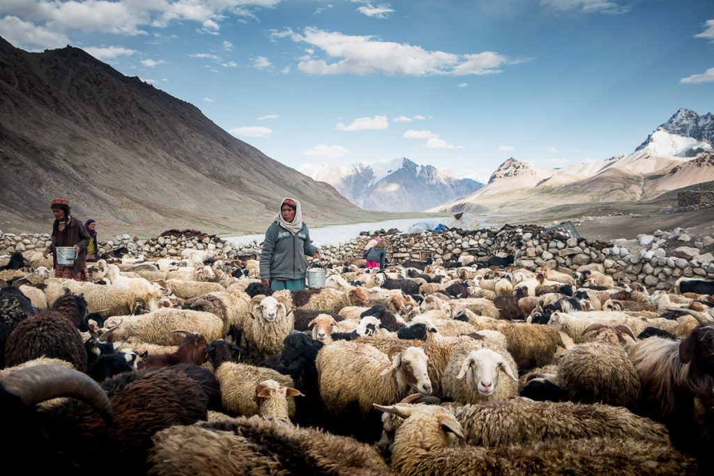 40s, 50s, 60s, Asia, Campagne, Culture, Espace, ExperiencePakistan, Gilgit-Baltistan, Gojal, Karakoram, Karakorum, Montagne, PAK, PK, Pakistan, Pamir, Paysage, River, Science & Nature, Shimshal, Shuwert, Terre, Upper Hunza, World Culture, action, aging process, alpage, animal, animals, asian, beautiful, beauty, berger, bergère, betail, boue, concept, contemplate, contemplation, content, country, countryside, culture, day, daylife, daylight, desert, differences, diversity, eco tourism, employee, enclosure, environment, ethnic group, ethnie, expressing positivity, family, far, farm, farming, female, field, flock, four people, freedom, frugality, goat, grandmother, grandparent, grass, group, group of people, hameau, hamlet, handcraft, harsh, herd, high, hill, horizontal, ismaeli, isolated, isolé, know how, land, landscape, life, life events, lifestyle, lifestyles, livestock, mature adult, milking, mindfulness, minimalism, miserly, moment, mother, mountain, mountains, moutains, mouton, mud, natural, non-urban, northern Pakistan, outdoor, outside, parent, park, pasture, peak, pen, pensive, people, photojournalism, pierre, raite, ram, real people, remote, retirement, road trip, rock, ruminant, rural scene, sand, scenery, senior adult, sheep, shepherd, shepherdesses, simple life, simplicity, sky, small group of people, social issues, stone, structure, summer, taking time, tourism, tradition, transhumance, travel, travel destinations, trekking, troupeau, vacation, wakhi, wild, wildlife, woman, women, work, world culture, éloigné