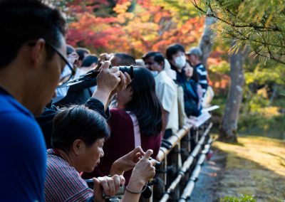 JAPON - LIFESTYLE - KOYO -THE JAPANESE LEAF PEEPINGLA CHASSE JAPONAISE AUX FEUILLES ROUGE D'AUTOMNE