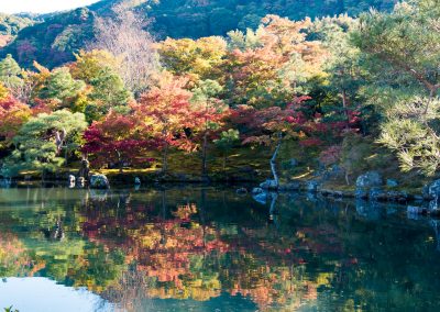 JAPON - LIFESTYLE - KOYO -THE JAPANESE LEAF PEEPINGLA CHASSE JAPONAISE AUX FEUILLES ROUGE D'AUTOMNE