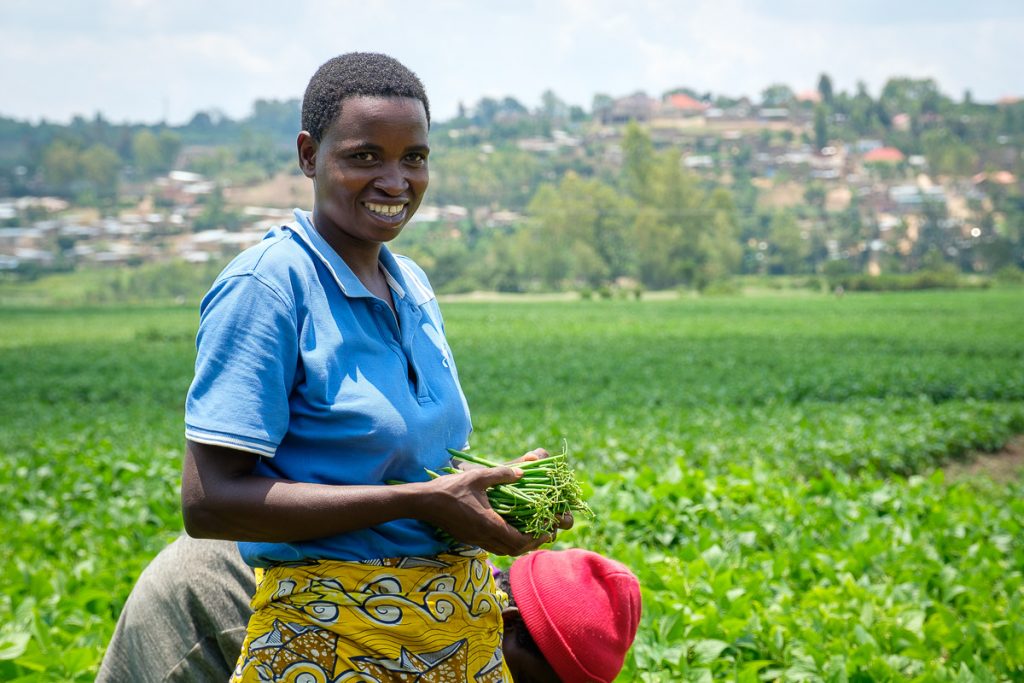 Africa, French bean, Portrait, Proxifresh, RW, RWA, Rwanda, agribusiness, agriculture, beneficial, community, copy space, copyspace, crop, cultivated land, diet, economic, employee, export business, exportation, farm, farm worker, farmer, female, field, food, food hygiene, for sale, freshness, gardening, green, green bean, group of people, growth, handcraft, harvest, harvesting, health and beauty, healthful, healthy, horizontal, in a row, know how, leaf, lifestyle, livelihood, lush, making money, manipulation, merchandise, natural condition, nourishing, nutritious, orderly, organic, outdoor, picking, plant, punnet, raw, retail, shell, smile, tidy, trimmed, two people, vegetable, wholesome, woman, work