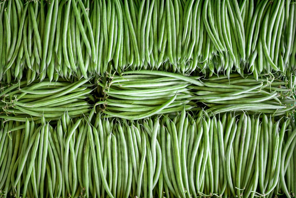 Africa, Export, French bean, Proxifresh, RW, RWA, Rwanda, agribusiness, agriculture, beneficial, box container, close up, community, copy space, copyspace, crop, delivering, diet, economic, employee, export business, exportation, farm, field, food, food hygiene, for sale, freight transportation, freshness, gardening, green, green bean, handcraft, handling equipment, harvest, harvesting, health and beauty, healthful, healthy, horizontal, in a row, know how, label preparation, leaf, lush, manipulation, merchandise, no people, nourishing, nutritious, orderly, organic, outdoor, people, picking, punnet, raw, retail, ripe, shell, shipping, tidy, trimmed, vegetable, wholesome, work, ¤Selection