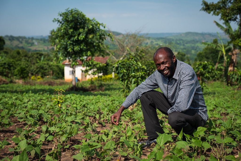 Africa, French bean, Jaksons Uganda Ltd, Portrait, UG, UGA, Uganda, agribusiness, agriculture, beneficial, cultivated land, diet, economic, environment, farm, farm worker, farmer, field, food, food and drink industry, food industry, green bean, groceries, growth, health and beauty, healthful, healthy, healthy eating, horizontal, lifestyle, livelihood, making money, male, man, natural condition, non-urban, nourishing, nutritious, one person only, outdoor, plantation, rural scene, seedling, vegetable, wholesome, work